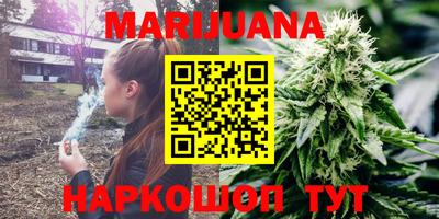 мет Можга