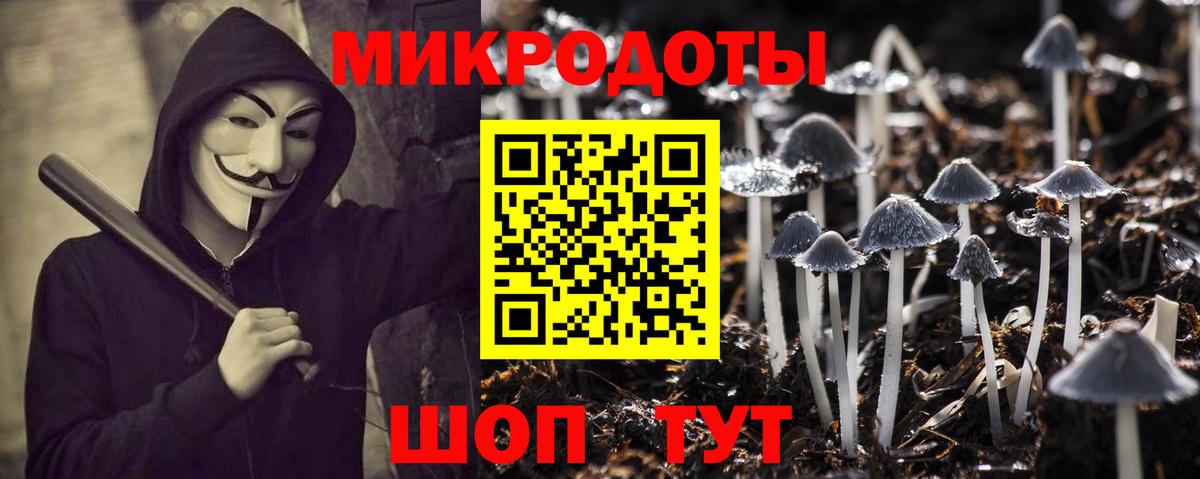 Псилоцибиновые грибы Cubensis  Вход с VPN  Элиста 
