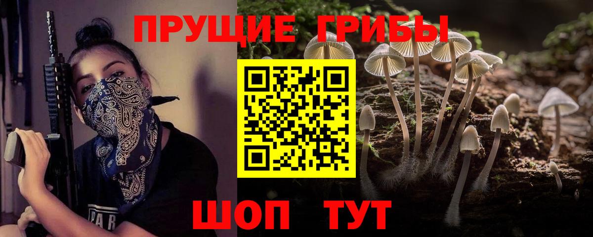 Галлюциногенные грибы Magic Shrooms Элиста