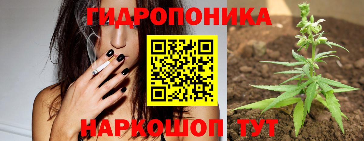 Бошки марихуана марихуана  Конопля конопля  Шишки марихуана Ganja  Вход с VPN  Элиста 